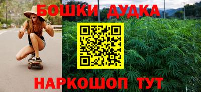крисы Будённовск