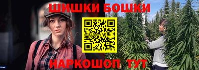крисы Будённовск