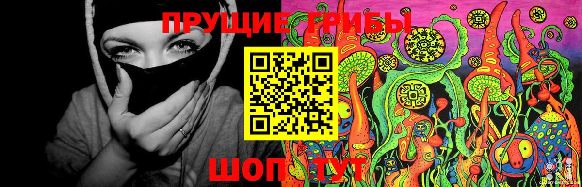 Псилоцибиновые грибы GOLDEN TEACHER Наро-Фоминск